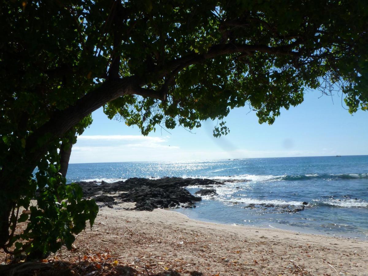Downtown Hawaiian Paradise Condo With Hot Tub, Pool & Beach - Kona Islander Inn Kailua-Kona Exteriör bild